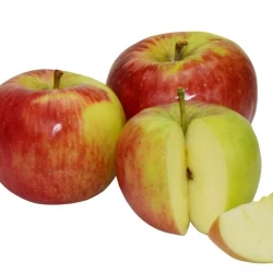 Arlet Bio Apfel