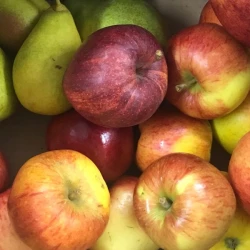 Obstbox Apfel&Birne 6kg